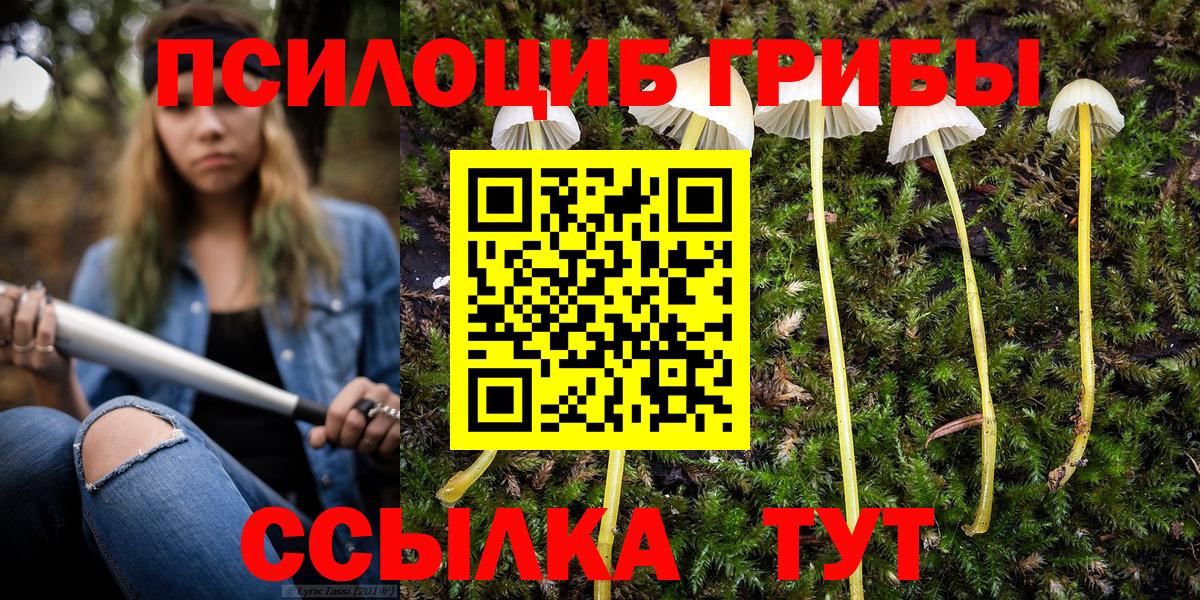 Скопин  купить наркоту  Вход с VPN  Псилоцибиновые грибы Psilocybe 