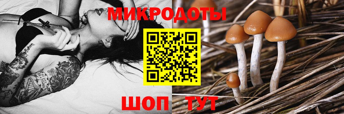 Псилоцибиновые грибы GOLDEN TEACHER Скопин